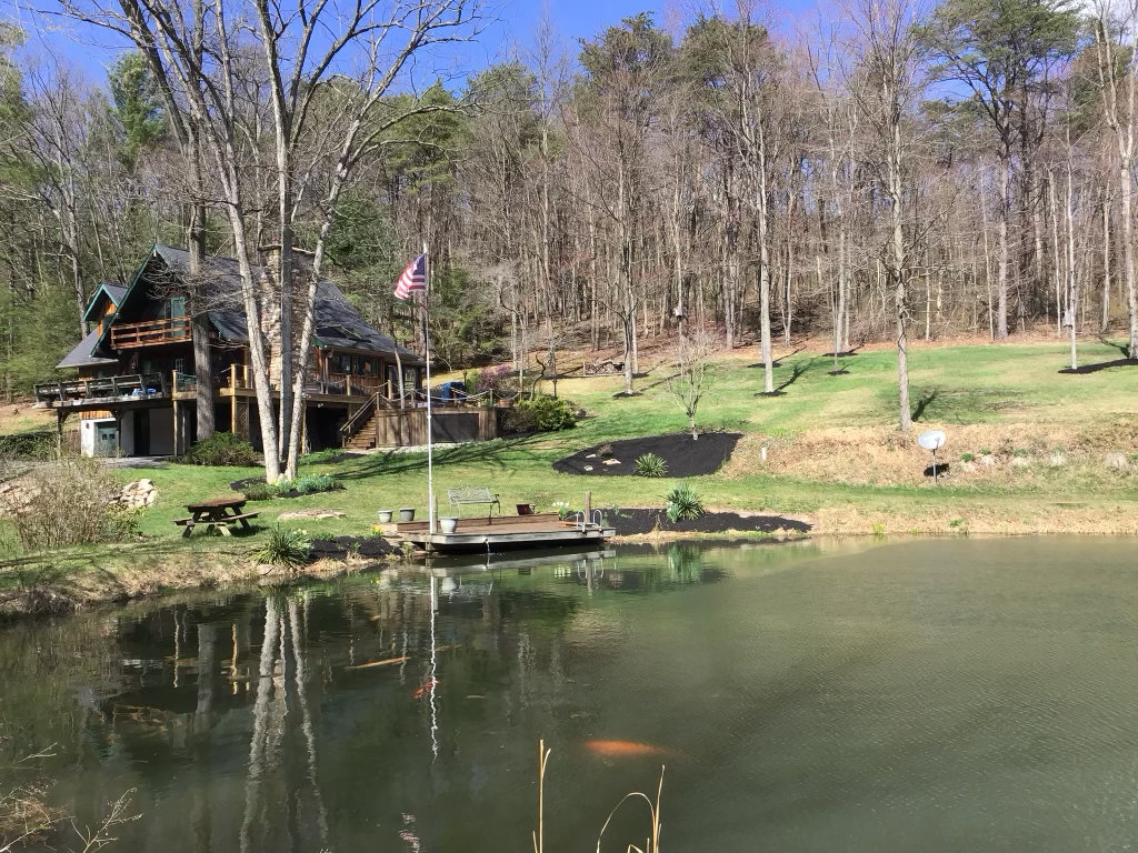 Front Yard Renovation